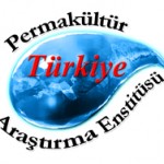 PAE_Turkiye_damla_logo