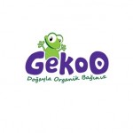 gekoo_logo